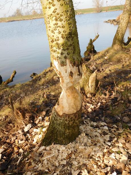 Morgen gaan we verder Ed!