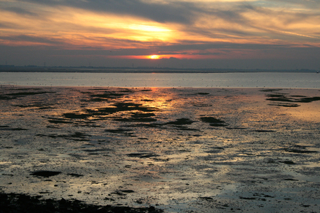 Oesterdam sunset