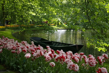 Keukenhof Lisse