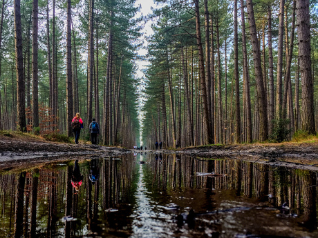 Onderweg