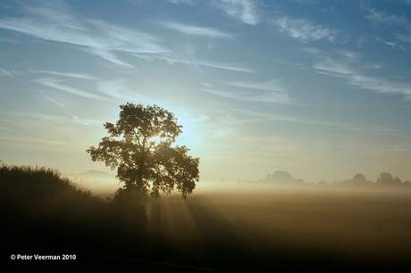 Morgenstond heeft ..................