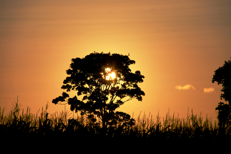 Vrachelse Heide sundown