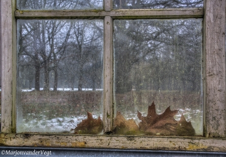 Doorkijkje