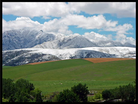 Spring in New Zealand