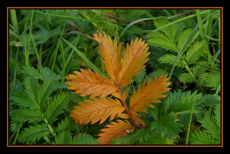 Herfst in aantocht