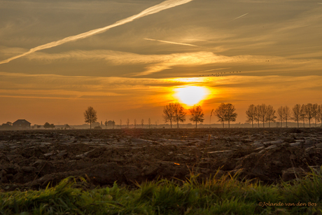 Ondergaande zon Bergerden/Huissen