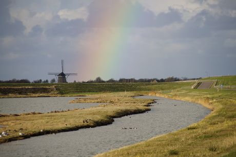 Stukje regenboog