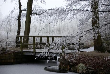 Winterwonderland dichtbij