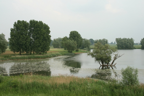 Polder