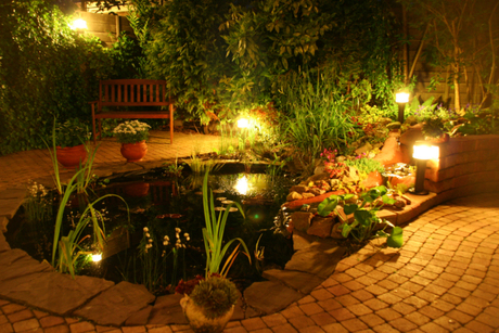 Vijver bij avondlicht