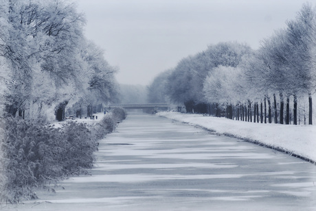 frozen canal..