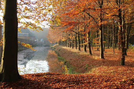 herfstkleuren