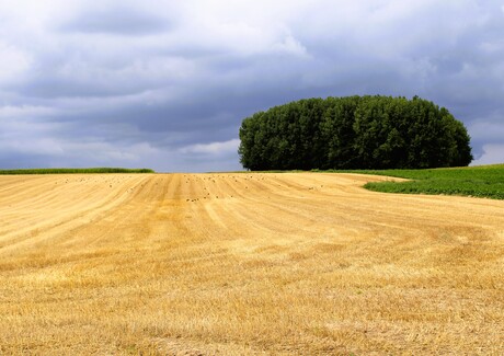 stilte na de oogst