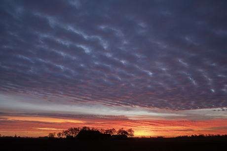 Vanuit de achtertuin..