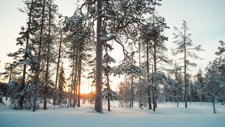 Zonsondergang Lapland