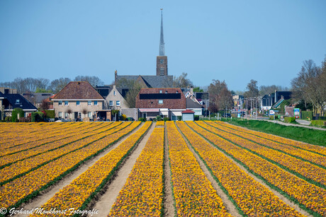 Perspectief