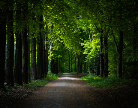 Lente groen