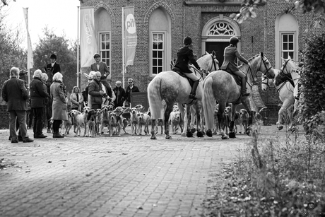 het groepje op gevoelige plaat