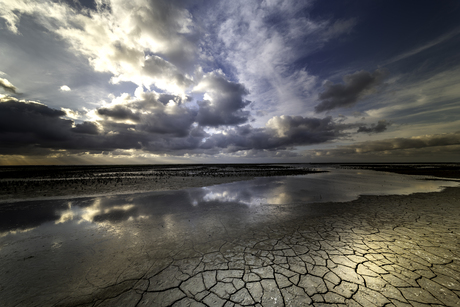 Emmapolderdijk at lowtide