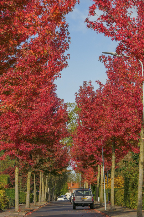 Herfst