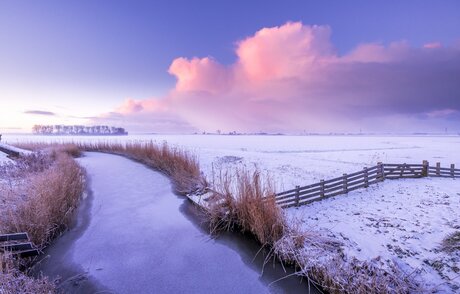polder in de winter