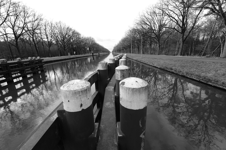 Om en bij "Brug Groene woud"