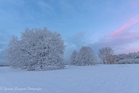 blauwe uurtje Almere