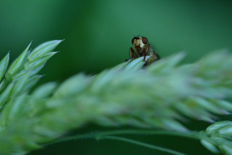 Ok, het begint al een beetje donker te worden, maar ik ben er nog even en ja, ik wacht nog wel even voor de foto.