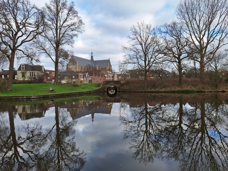 Grote Sint-Laurenskerk Alkmaar 