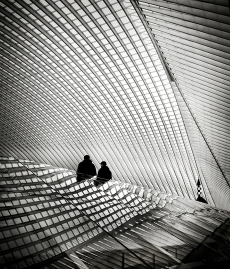 Guillemins