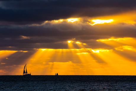 Jacobsladders boven de Waddenzee.