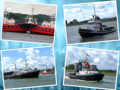 Collage Maassluis Sleepboot haven dag 30 mei 2015