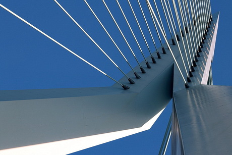 Rotterdam Erasmusbrug.