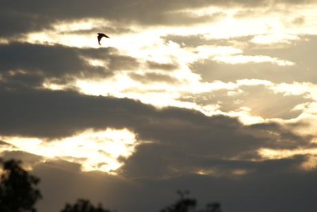 zon achter de wolken