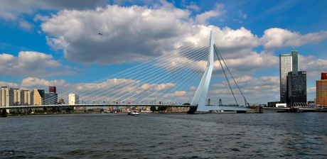 Rotterdam rondvaart