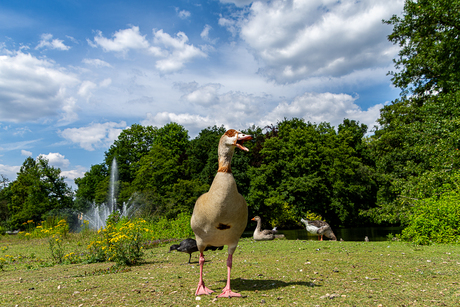 Respecteer mijn privacy.