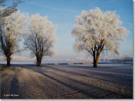 Winter bij Alkmaar