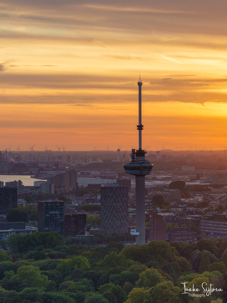 Zonsondergang skyline Rotterdam