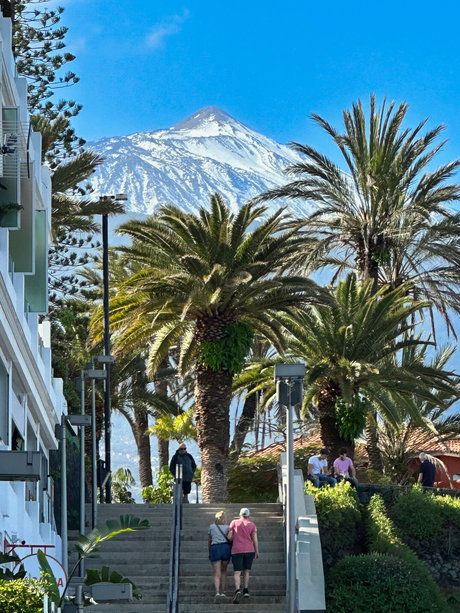 Boulevard met uitzicht