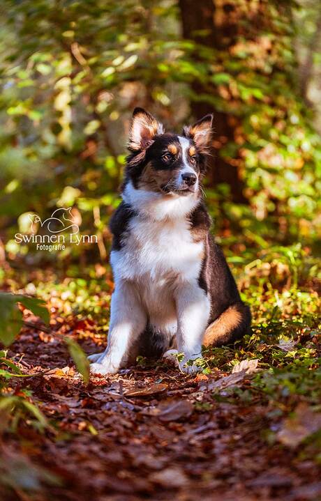 Herfstfotoshoot Xo