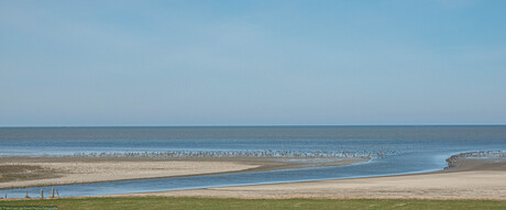 Het wad bij Zwarte Haan aan de Friese waddenzeekust