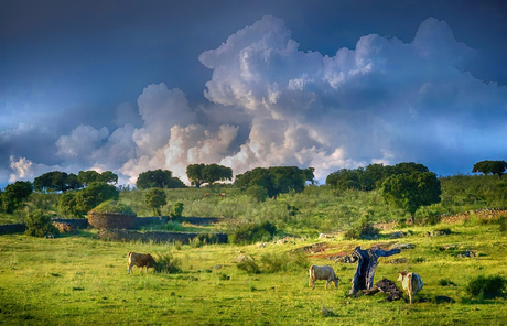 Extremadura