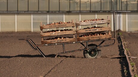 Gebr. Duin - Heemskerk