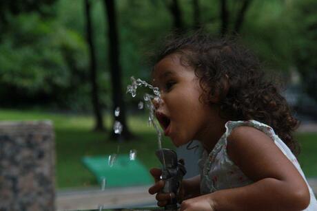 Dorst