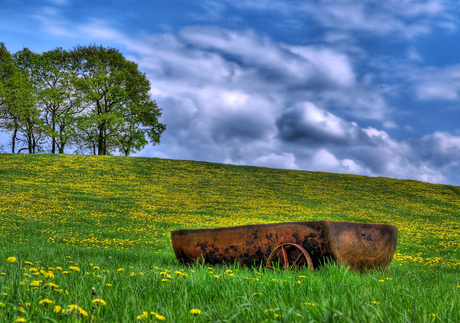 Kolen kar in weiland(hdr foto).jpg