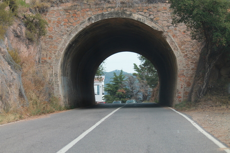 tunnelvisie