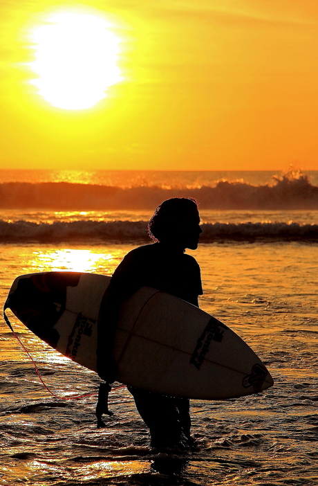 Surf Dude