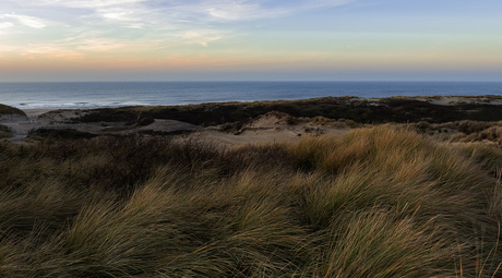 Blik op de toekomst...