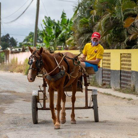 Vervoer in Vinales, Cuba
