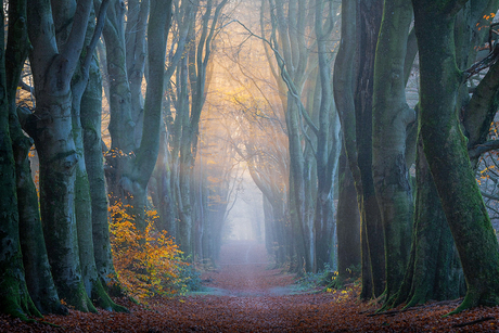 Love at first light.💡